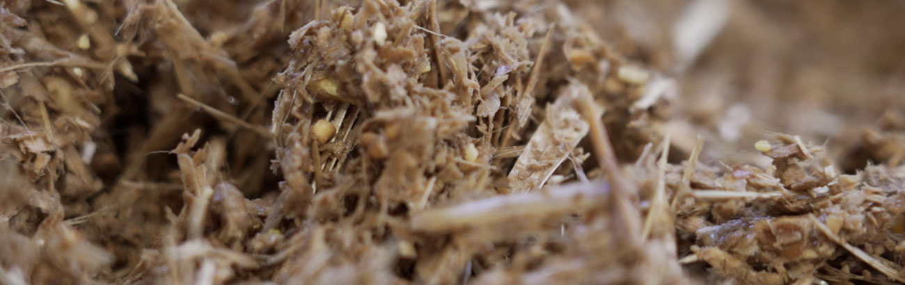 Compost para pleurotus ostreatus y su proceso